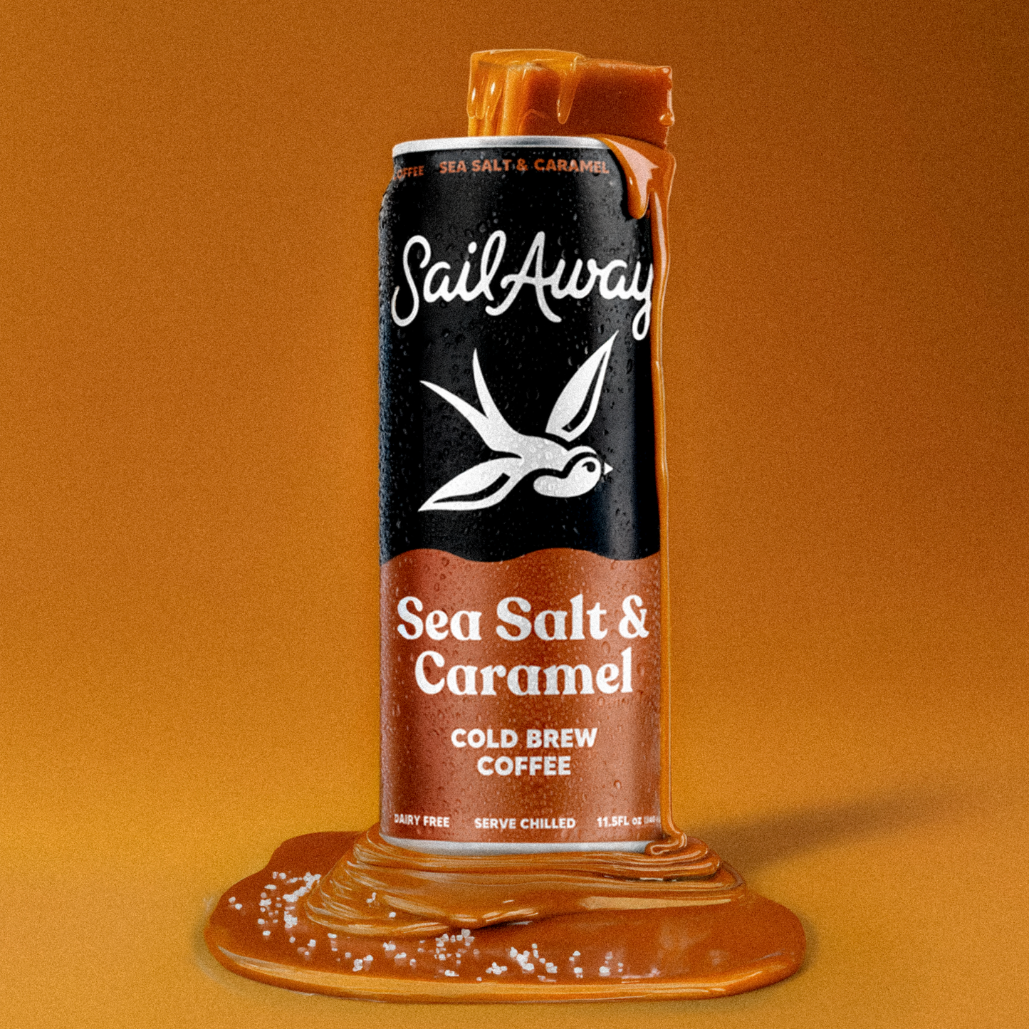 Cold Brew Coffee - Sea Salt & Caramel 4-Pack